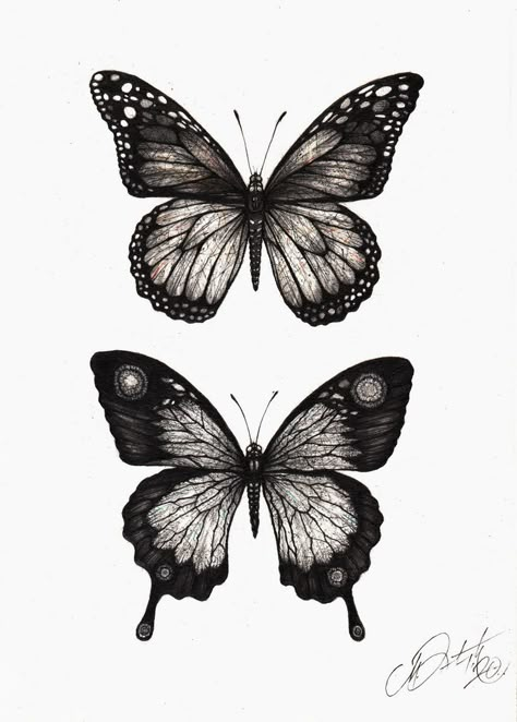 Butterfly Detail Drawing, Detailed Butterfly Tattoo Design, Viceroy Butterfly Tattoo, Butterfly Drawing Detailed, Pencil Butterfly Drawings, Dark Butterfly Drawing, Dark Butterfly Tattoo Coverup, Butterfly Realism Tattoo, Butterfly Ink Drawing