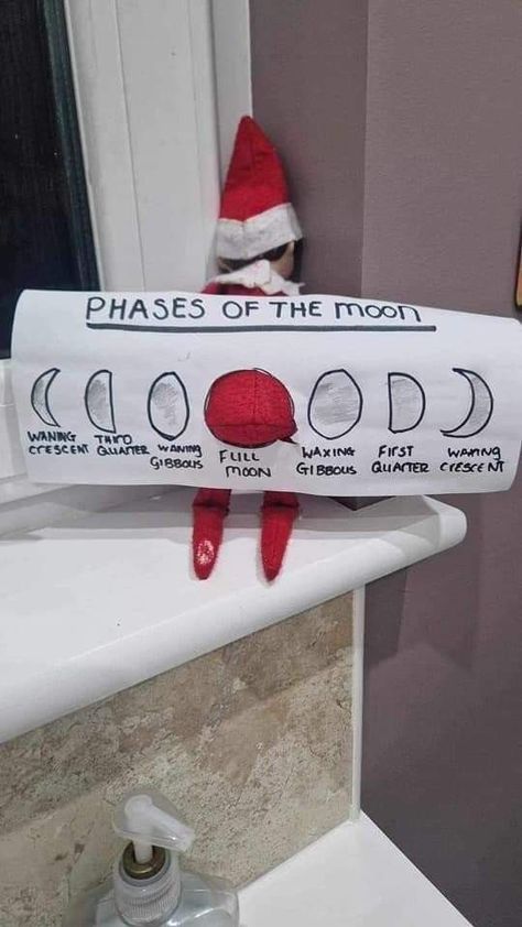 Did You Miss Me Elf On The Shelf, Elf Return Ideas For Older Kids, Frost Pips Ideas, Elf Taste Test, Elf On Shelf Hide And Seek, Elf On The Shelf Ideas College, Elf On The Shelf Tattoo Ideas, Elf On The Shelf Camper Ideas, Elf Ideas Toilet Paper