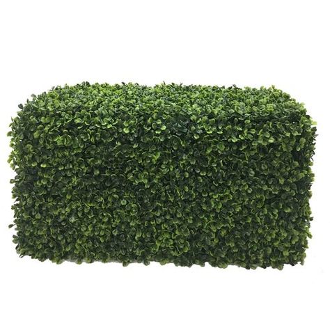 Found it at Wayfair.ca - Boxwood Hedge Boxwood Hedge, Artificial Boxwood, Home Decor Products, Shade Garden, Types Of Plants, Outdoor Settings, Hair Care Shampoo, Artificial Plants, Hedges