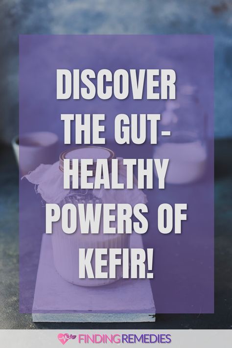 Discover the Gut-Healthy Powers of Kefir! Benefits Of Kefir, Sources Of Probiotics, Kefir Benefits, Improving Digestion, Heal Your Mind, Fermented Milk, Fruit Health Benefits, Metabolic Disorders, Fruit Benefits