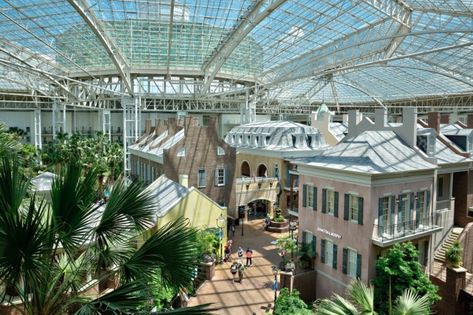 Resorts For Kids, Opryland Hotel, Nashville Hotels, American Cafe, Outdoor Play Structures, Outdoor Cabana, Kid Friendly Activities, Hotel Pool, Family Resorts