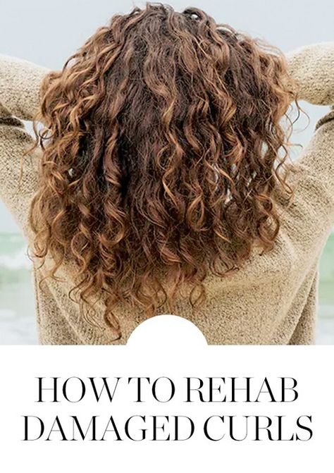 Damaged Curly Hair, Awesome Hairstyles, Haircuts For Curly Hair, Curly Girl Method, Celebrity Hair Stylist, Oily Hair, Curly Hair Care, Trending Hairstyles, Curly Hair Tips