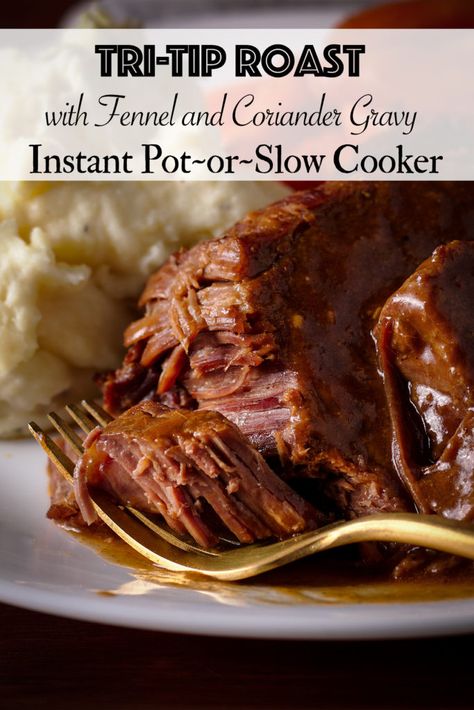 In this simple recipe, Tri-Tip is cooked in a rich gravy flavored with fennel, coriander, and paprika until it's so tender that it falls apart. #slowcooker #instantpot #tritip #steak #steakandgravy | alittleandalot.com Tri Tip Slow Cooker, Instapot Tritip Recipes, Tritip Recipes Crock Pot, Frozen Tri Tip Instant Pot, Tri Tip Instant Pot, Tri Tip In An Instant Pot, Tri Tip Pressure Cooker Recipe, Instant Pot Tri Tip, Tri Tip Recipes Crockpot