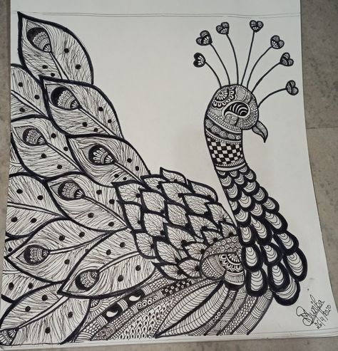 Peacock Doodle, Peacock Drawing, Mandala Art Lesson, Doodles Zentangles, Doodle Art Designs, Art Lesson, Mandala Art, Doodle Art, Art Designs