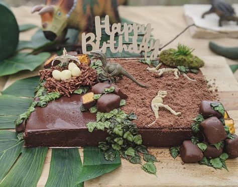 Dinosaur Dirt Cake, Dirt Cake Dinosaur, Dinosaur Sheet Cake, Dino Fossil Cake, Dinosaur Fossil Cupcakes, The Good Dinosaur Cake, Rustic Birthday Cake, Dirt Cupcakes, Costco Dinosaur Cake