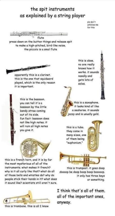 Funny Band Jokes Clarinets, Marching Band Aesthetic Flute, Flutist Aesthetic, Saxophone Humor, Bassoon Memes, Saxophone Jokes, Clarinet Jokes, Saxophone Aesthetic, Funny Band