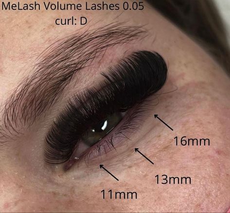 Lashes Extensions With Numbers, Russian Volume Lashes Mapping, Mega Volume Lash Mapping, Lash Mapping Eyelash Extensions Mega Volume, Lash Extensions Mapping Styles Mega Volume, Russian Lash Map, Mega Russian Volume Lashes, Lash Extensions Russian, Lash Extensions Mega Volume