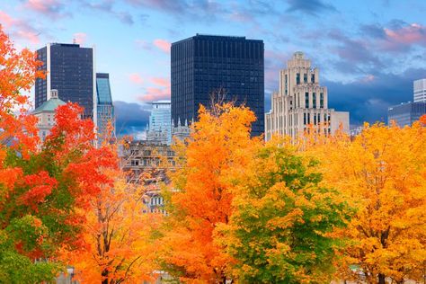 Free Things to Do in Montreal Every Day This October 2017 Canadian Travel Destinations, Montreal Vacation, Ontario Canada Travel, Ottawa Photography, Things To Do In Montreal, Visit Montreal, Canada Vacation, Canada Images, Canadian Travel