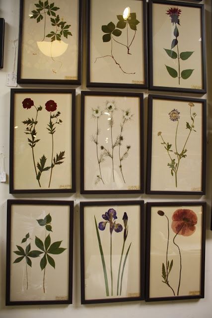 Plant Pressing Art, Dried Tulips In Frame, Pressed Framed Flowers, Flower Press Ideas, Press Bouquet, Press Flowers In A Frame, Things To Do With Dried Flowers, Plant Pressing, Flower Press Art