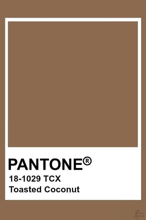 Brown Pantone, Pantone Tcx, Pantone Color Chart, Pantone Swatches, Pantone Palette, Pantone Colour Palettes, Pantone Colors, Color Inspo, Colour Board