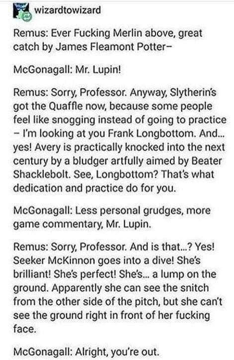 Remus Lupin Memes, Marauders Headcannons, Marauders Headcanons, Hp Universe, Harry Potter Feels, Yer A Wizard Harry, Harry Potter Puns, Harry Potter Tumblr, Harry Potter Headcannons