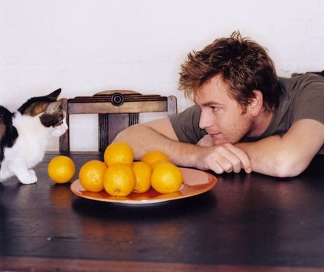 Ewan McGregor Celebrities With Cats, Men With Cats, Jonathan Rhys Meyers, Shia Labeouf, Logan Lerman, Colin Farrell, Ewan Mcgregor, Ben Barnes, Celebrity List