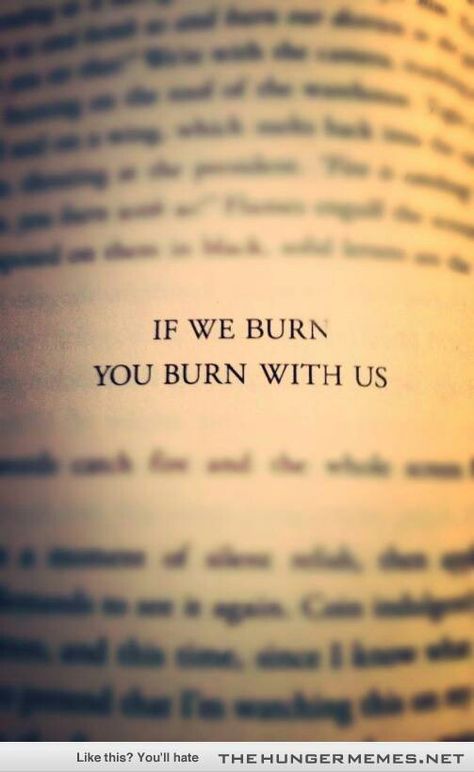 If we burn, you burn with us The Hunger Games Books, Hunger Games Wallpaper, Hunger Games Fan Art, Games Quotes, Games Wallpaper, Hunger Games Books, Hunger Games Quotes, Hunger Games Fandom, Hunger Games 3