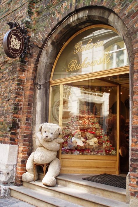 Teddy Bear Shop, Teddy Bear Hug, Bear Shop, A Teddy Bear, Shop Fronts, Love Bear, Bear Hug, Shop Window Displays, Central Europe