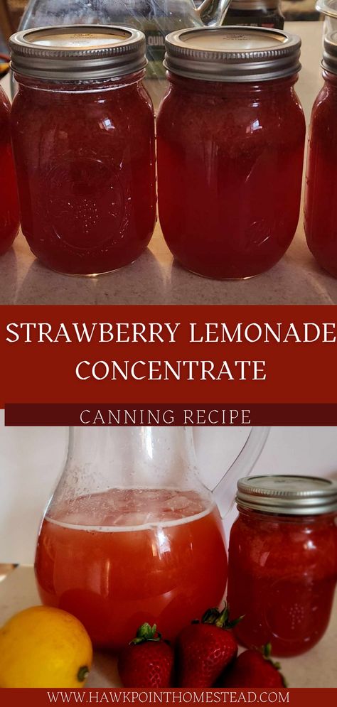 This strawberry lemonade concentrate canning recipe is such an easy way to have a refreshing drink ready to go at any time. Who doesn’t love strawberries and lemonade! This takes just 3 ingredients, and a little work, you can have this refreshing lemonade with the wonderful taste of strawberries at a moment’s notice. Bottled Strawberry Lemonade, Canned Strawberry Lemonade Concentrate, Watermelon Lemonade Concentrate, Blueberry Lemonade Concentrate Canning, Strawberry Lemonade Concentrate Canning, Best Strawberry Lemonade Recipe, Healthy Canning Recipes, Canning Drink Concentrate, Canning Lemonade Concentrate