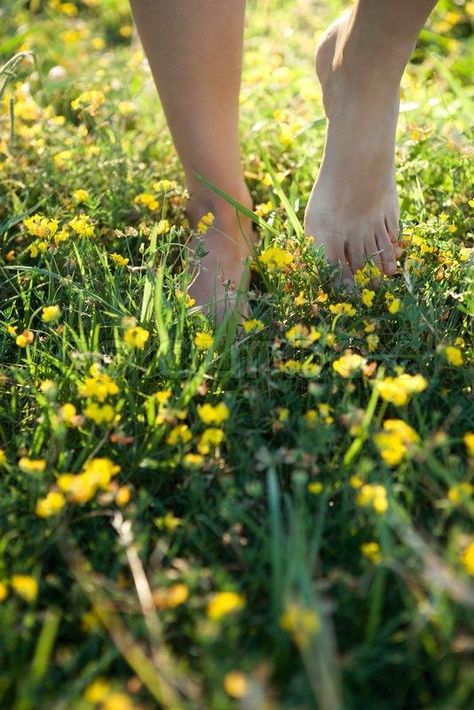 Buttercup Field, Trainers Girls, Connecting With Nature, Diy Slippers, Buttercup Yellow, Walking Barefoot, Spring Mood, High Resolution Picture, Oscar Wilde