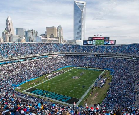 Bank Of America Stadium, Carolina Panthers Football, Nfl Stadiums, Panthers Football, Nfl Football Teams, The Vikings, Football Stadiums, Review Games, Bank Of America