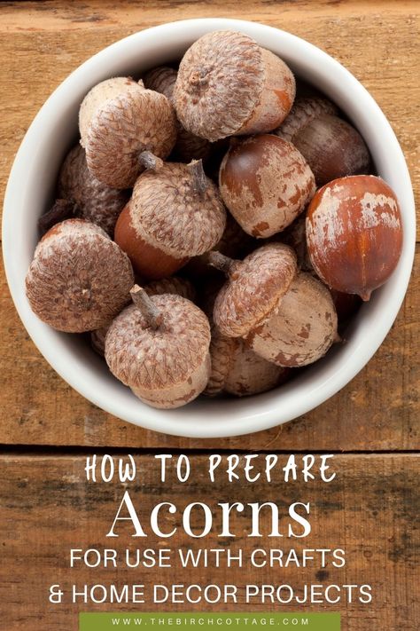 How to Prepare Acorns for Use with Crafts - The Birch Cottage Fall Themed Crafts, Diy Porch Decor, Acorn Crafts, Fun Fall Crafts, Diy Tray, Holiday Tablescapes, Pumpkin Fall Decor, Homemade Decor, Fall Crafts Diy