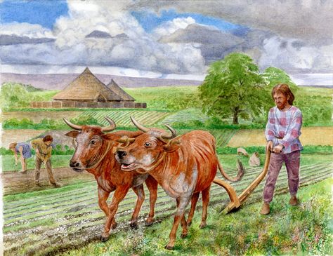 Julian Cross - Iron Age farm with ploughing in the foreground Futuristic Food, Kingdom Of Kongo, Goddess Of Nature, Farming Tools, Ancient Celts, Aztec Warrior, Celtic Mythology, Historical Period, Iron Age