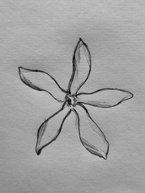 Star Jasmine Flower Tattoo, White Jasmine Tattoo, Star Jasmine Tattoo, Sampaguita Jasmine Flower Tattoo, Jasmine Plant Tattoo, Jasmine Flower Tattoo Design, Jasmine Drawing Flower, Jasmine Flower Tattoo Minimalist, Arabian Jasmine Flower Tattoo