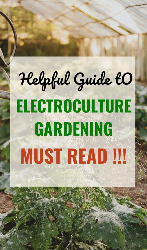 New to Electroculture Gardening? Here's our beginner's guide for everything you need to know about electroculture plant set up! Discover the fundamentals of this innovative gardening technique, from understanding its principles to practical tips for implementation. / electroculture gardening diy electroculture plants electroculture gardening ideas / Electroculture Gardening Diy, Electro Culture Gardening, Electroculture Diy, Electro Gardening, Electroculture Gardening, Chook House, Electro Culture, Conservation Of Energy, Heirloom Garden