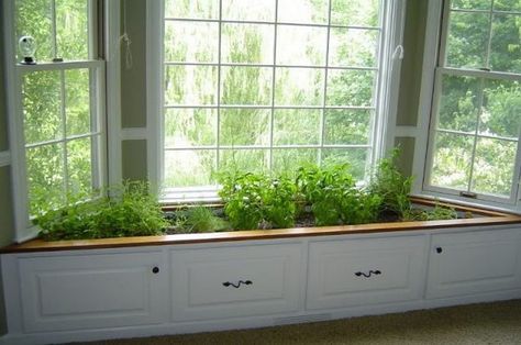 Container herb gardens and other herb garden ideas | The Owner-Builder Network | great idea if you hve the space and correct sunlight Herb Garden Window, Window Herb Garden, Herb Garden Pots, Window Box Garden, Herb Garden In Kitchen, Inside Garden, Herb Garden Kit, Indoor Herb, Window Planters