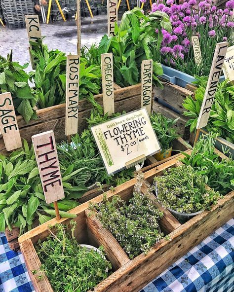 Grab your fave grocery tote + head to one of these ah-mazing farmer's markets for fresh goodies. Farmers Market Herbs, Salsa Kit Farmers Market, Farmers Market Tea Display, Produce Market Display, Farmers Market Produce Display, Selling Herbs At Farmers Market, Best Sellers At Farmers Markets, Farmers Market Sales Ideas, Mobile Farmers Market