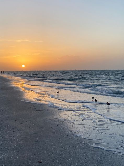 Sanibel Island Florida Things To Do, Fort Myers Florida Aesthetic, Sanibel Island Florida Photography, Florida Beach Town Aesthetic, Beach Sunset Florida, Sanibel Island Beaches, Journal 2023, Sanibel Island Shells, Dream Proposal