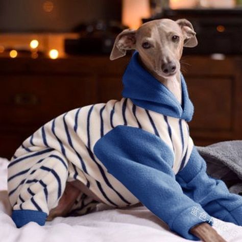 New Pet Clothing Fleece Stripe Patchwork Dog Winter Coat Four-legged Hoodie Warm Clothing Greyhound Clothes, Italian Greyhound Clothes, Big Dog Clothes, Grey Hound, Bulldog Clothes, Whippet Puppies, Patterned Fleece, Service Dog Vests, Clothing Upcycle