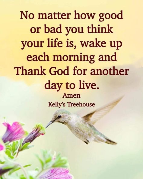 No Matter How Good Or Bad You Think Your Life Is, Wake Up Each Morning And Thank God For Another Day To Live. Pictures, Photos, and Images for Facebook, Tumblr, Pinterest, and Twitter Thank God For Another Day, Christian Good Morning Quotes, Live Pictures, Positivity Board, Elizabeth Jane, Encouraging Thoughts, True Quotes About Life, Love Husband Quotes, Good Prayers