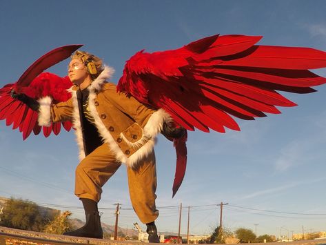 Mha Hawks Cosplay, Hawks Cosplay, Hawks My Hero Academia, Hawk Wings, Hawk Pictures, Wings Cosplay, My Hero Academia Fanart, Cosplay Wings, Hawks Bnha