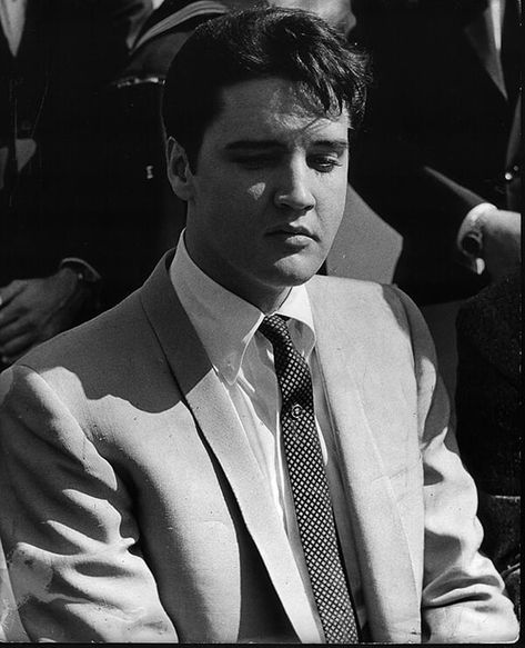 Elvis 60s, Alex Dimitriades, Elvis Today, Danny Thomas, Elvis Presley Family, Elvis Presley Movies, Young Elvis, Elvis Presley Pictures, Elvis Presley Photos