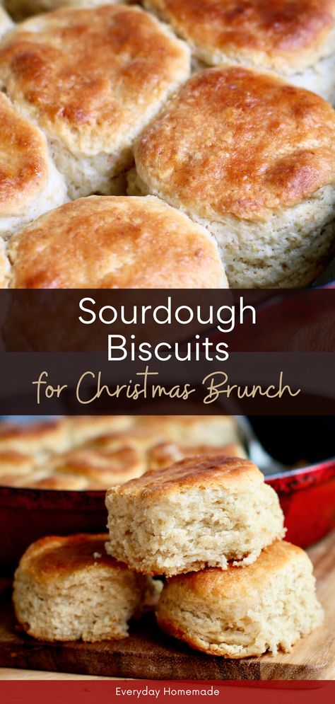 These Sourdough Biscuits for Christmas Brunch are a must-try holiday treat! Made with sourdough starter discard and butter, these soft, fluffy biscuits are perfect for breakfast or brunch. They’re quick and easy to make the same day, and pair beautifully with gravy for a savory addition to your Christmas spread. A delicious, homemade way to kick off your holiday morning! Biscuits With Sourdough Discard, Overnight Sourdough Biscuits Recipe, Sourdough Tea Biscuits, Sourdough Biscuit Recipe, Sourdough Starter Breakfast, Sourdough Biscuits And Gravy, Christmas Sourdough Scones, Sourdough Christmas Breakfast, Sour Dough Breads