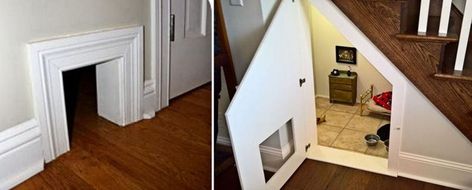 Cat Rooms Indoor Under Stairs, Under Stair Cat House, Cat Door Under Stairs, Understairs Cat Area, Understairs Cat House, Cat Litter Box Under Stairs, Litter Box Room Under Stairs, Cat Litter Box Ideas Hidden Under Stairs, Cat Closet Under Stairs