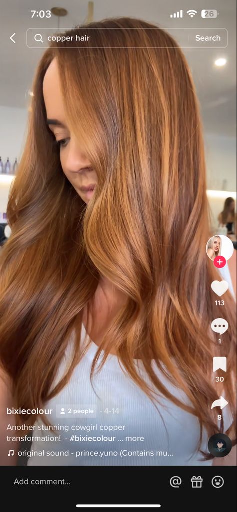 Brunette Cowgirl Copper, Strawberry Brunette Balayage, Cowgirl Copper Hair Color, Copper Cowgirl Hair, Golden Copper Highlights, Cowgirl Copper Hair, Cowgirl Copper, Cowgirl Hair, Copper Brown Hair Color