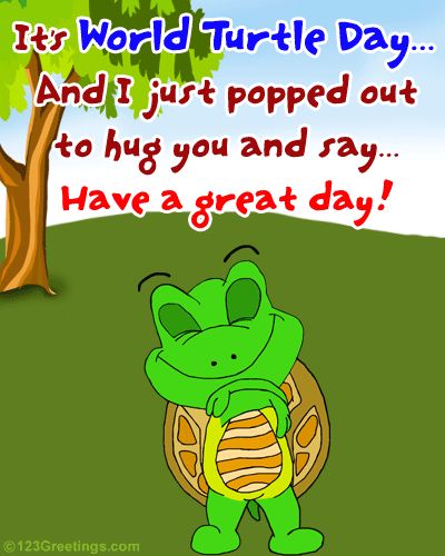 turtle day | Cute Wish On World Turtle Day. Free World Turtle Day eCards, Greetings ... Sea Turtle Drawing, World Turtle, World Turtle Day, Turtle Day, Happy Turtle, Cute Hug, Turtle Drawing, Sea Turtle Art, Turtles Funny