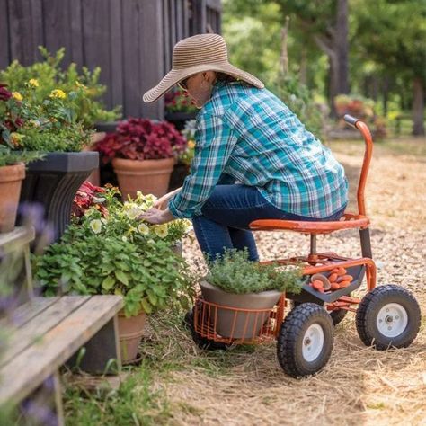 8 Best Garden Scooters for Easy Gardening | The Family Handyman Garden Scooters, Large Wire Basket, Painting Baseboards, Garden Kneeler, Easy Gardening, Garden Cart, Large Storage Baskets, Better Homes And Garden, Rain Water Collection