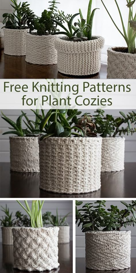 Plant Cozies - Free Knitting Patterns Plant Cozies, Plant Cozy, Loop Knitting, Plant Containers, نباتات منزلية, Cozy Crochet Patterns, Knit Basket, Free Knitting Patterns, Yarn Projects