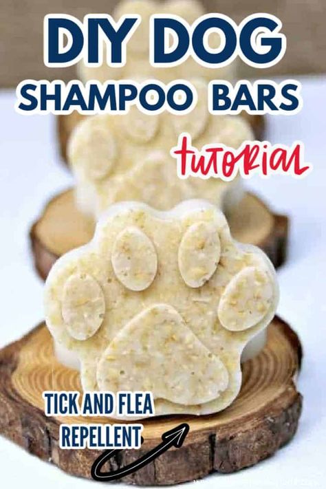 Dog Shampoo Recipe, Diy Shampoo Bar, Diy Dog Shampoo, Homemade Dog Shampoo, Dog Shampoo Bar, Shampoo Bar Recipe, Natural Dog Shampoo, Homemade Bar, Dog Soap