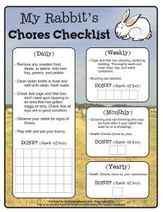 Thank again for connecting with us at Everything Rabbit – we’re so excited to have you join our community! As promised, here are your free downloads! We hope that they help you out on your bunny-journey… (Click to open) How to Build a Rabbit Transport Carrying Cage Rabbit Chores Checklist Rabbit Health Checklist -                    [...] Rabbit Supplies List, 4 H Rabbits, Rabbit Feeding Schedule, New Bunny Checklist, Rabbit Essentials List, Pet Bunny Care, Bunny Essentials List, Rabbit Essentials, Baby Rabbits Cute