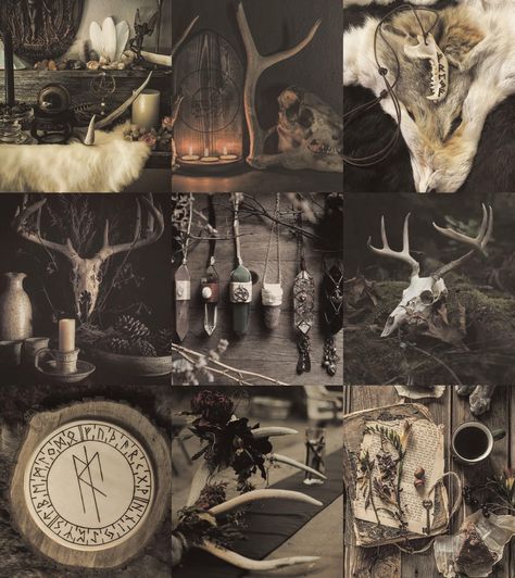 Viking Athstetic, Viking Witch Aesthetic, Cernunnos Aesthetic, Viking Moodboard, Volva Norse Witch, Norse Aesthetic, Norse Witch, Viking Witch, Viking Aesthetic