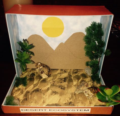 Desert Ecosystem Shoe Box Desert Shoe Box Project, Desert Diorama Ideas For Kids, 2nd Grade Science Projects, Shoe Box Diorama Desert, Ecosystems Diorama, Shoe Box Diorama, Desert Diorama, Rainforest Project, Biomes Project