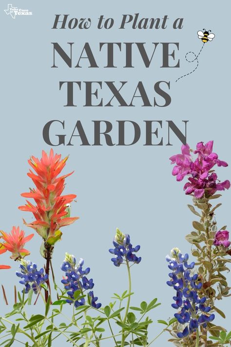 Texas Pollinator Garden Layout, Texas Hill Country Landscape Ideas, Texas Butterfly Garden Native Plants, Houston Native Plants, North Texas Front Yard Landscaping Ideas, Texas Native Landscape Design, Texas Native Flower Bed, Texas Cactus Garden, Texas Native Shade Plants