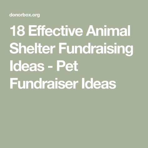 Non Profit Fundraising Ideas Animal Rescue, Dog Shelter Fundraising Ideas, Fundraising Ideas For Animal Shelters, Pet Fundraiser Ideas, Animal Fundraising Ideas, Dog Fundraiser Ideas, Animal Shelter Fundraiser Ideas, Animal Shelter Donation Ideas, Animal Shelter Ideas