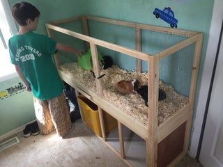 Build a Guinea Pig Cage With EASY Cleaning! (Projects With Kids): 4 Steps Ginnie Pigs, Turtle Traps, Diy Guinea Pig Cage, Guinea Pig Diy, Guinea Pig Hutch, Giant Rabbit, Guinea Pig House, Guinea Pig Bedding, Pig House