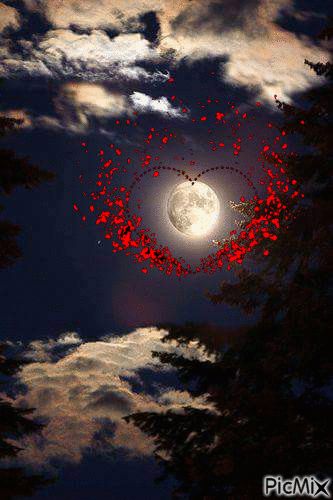 Beau Gif, Good Night Images Hd, Lovely Good Night, Romantic Good Night, Beautiful Good Night Images, Good Night Flowers, Night Gif, Good Night Love Images, Love Moon