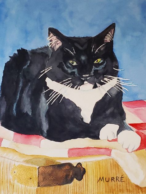 Pet Portraits — Helene Murre Art Black Tuxedo Cat, Black Cat Watercolor, Watercolor Cats, Cat Paintings, Cat Watercolor, Thumbnail Sketches, Tuxedo Cats, Cat Art Illustration, Black And White Cat