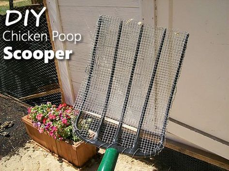 DIY Chicken Poop Scooper - makes cleaning your coop so much easier... #chickens #homestead #homesteading #DIYChickenCoops Chickens Homestead, Poop Scooper, Cheap Chicken Coops, Chicken Poop, Chicken Coup, Diy Chicken, Pooper Scooper, Coop Plans, Keeping Chickens