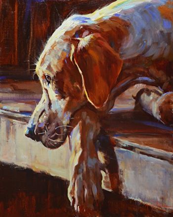 Painting Dogs, Portraits Pop Art, Pet Portrait Paintings, White Labrador, Dog Portraits Painting, Dog Portraits Art, Labs Art, Canine Art, Custom Dog Portraits