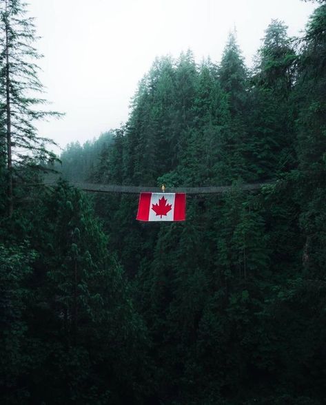 Hoodie Accessories, Canada Toronto City, Capilano Suspension Bridge, Mountain Trees, Canada Pictures, Forest Lodge, Canada City, Toronto City, Happy Canada Day